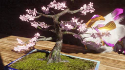 Countdown to Spring #8: Cherry Tree Bonsai